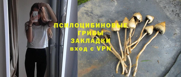 mdpv Алексин