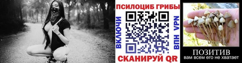 Галлюциногенные грибы мицелий  Ленинск 